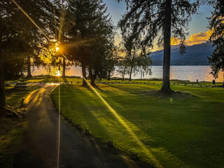 Lake Quinalt, Olympic national park, sunset, trees, lake, grass
