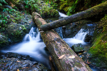 Falls creek water fall, Olympic national park, large logs, water flowing, falls, moss covered boulders, river