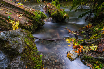 Merrimack Falls, Olympic national park, Nature, river, leaves turning colors, Mossi covered boulders, water flowing