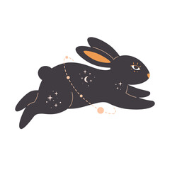 Rabbit with esoteric, mystic, astrology and magician elements. Year of the Rabbit. Hand drawn vector illustration