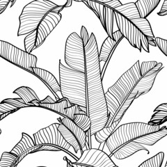 Seamless floral pattern with Tropical bananas leaves. Tropical leaves in retro style. Hand drawn pattern. Line art. 
