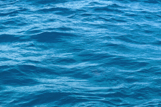 blue water background © DanielViero