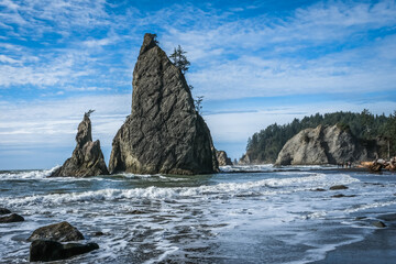Realto beach, Washington coast, ocean, sea, olympic national park, rock edifice, tree.
