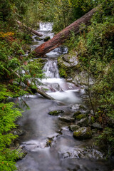 Gaston Creek Falls, waterfall, olympic national park, log, slow moving water, river, moss, boulders, trees