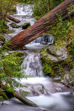 Gaston Creek Falls, waterfall, olympic national park, log, slow moving water, river, moss, boulders