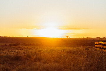 Fototapeta premium sunset over the field