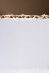 detalle de cartón blanco corrugado simple