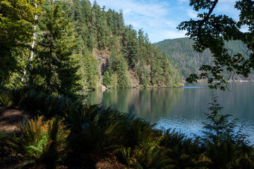 Crescent Lake, Olympic national park, Trees, lake, 