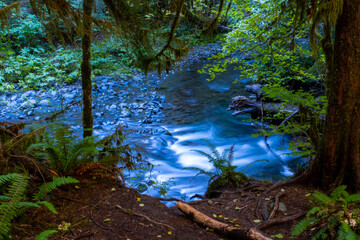Sol Duc falls, olympic national park, waterfall, log rushing water, trees, bushes, 