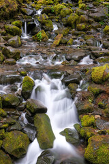 Sol Duc falls, olympic national park, waterfall, rushing water, trees, bushes, Moss, boulders