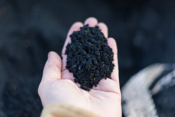 Top view of black Organic composted soil amendments in a hand