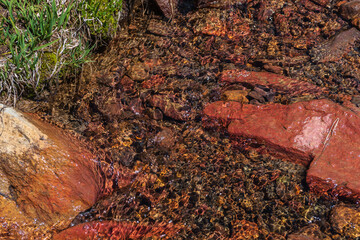 Sharp stone in clear water stream with motley stony bottom in sunlight. Colorful mountain stream with mineral water in bright sun. Picturesque top view to sunlit multicolor stones in spring water.