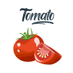 Hand drawn colorful red tomato. Set sketches with cut tomato, slice of tomato and tomatoes branch. Vector illustration isolated on white background.
