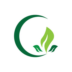 Fototapeta na wymiar leaf logo vector template ilustration and icon design