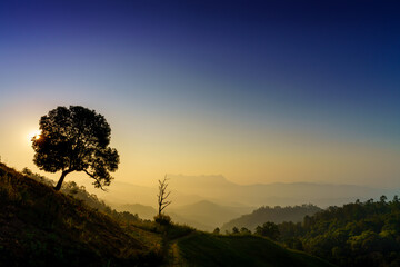 Fototapeta na wymiar Mountain Scenery, Doi Luang Chiang Dao, Chiang Mai province in Thailand.