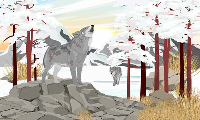 A gray wolf howls standing in a mountain valley. Winter realistic vector landscape