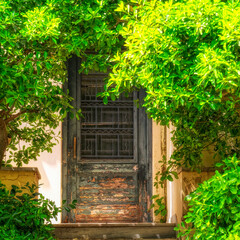Old family house entrance door through vivid green foliage, Athens Greece