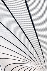 Vertical shot of an interior of Beijing Daxing International Airport, China