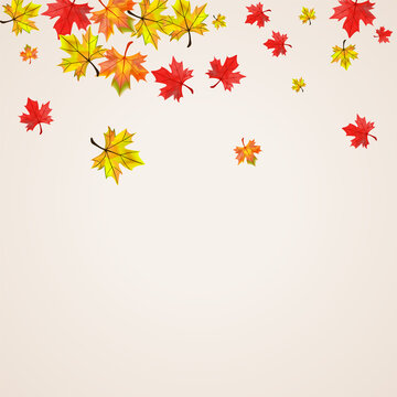 Colorful Floral Background Beige Vector. Leaf October Texture. Yellow Decoration Foliage. Nature Plant Illustration.