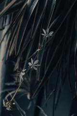 Vertikaler Schuss schöner Blumen, die umgeben von üppigem Grün mit verschwommenem Hintergrund wachsen