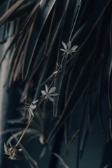 Foto auf Acrylglas Schwarz Vertikaler Schuss schöner Blumen, die umgeben von üppigem Grün mit verschwommenem Hintergrund wachsen
