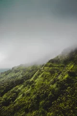 Fotobehang Olijfgroen Verticale opname van heuvels bedekt met bossen en mist onder een bewolkte hemel