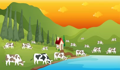 Schilderijen op glas Herd of Cows eating grass and drinking water in a green field. Vector Illustration. © Sajjad