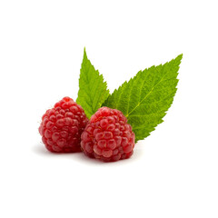 Photo of fresh red raspberry with leaves isolated on white background