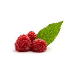 Photo of fresh red raspberry with leaves isolated on white background