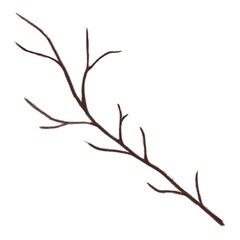 Branches watercolor design, draw a picture on the white background.