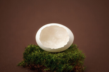 Chicken egg shell in moss on a brown background closeup