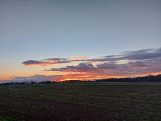 Herrlicher Sonnenuntergang. Die Natur versinkt in Dunkelheit. In der Ferne sieht man Silhouetten von verzweigten Laubbäumen ohne Blätter. Das Tageslicht verblasst am Horizont. Die Dunkelheit im Morgen