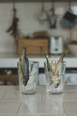 Fish in a glass