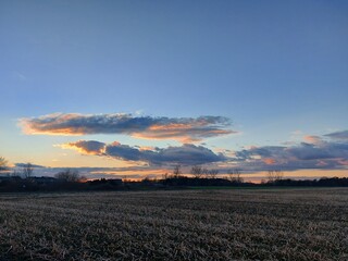 Herrlicher Sonnenuntergang. Die Natur versinkt in Dunkelheit. In der Ferne sieht man Silhouetten von verzweigten Laubbäumen ohne Blätter. Das Tageslicht verblasst am Horizont. Die Dunkelheit im Morgen