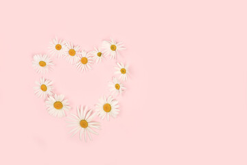 Fototapeta na wymiar Composition with white chamomile flowers heart, concept hello summer, template for design, greeting card for Women's Day, mother's day, birthday, invitation, minimal modern design, selective focus