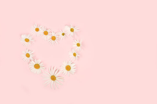 Composition with white chamomile flowers heart, concept hello summer, template for design, greeting card for Women's Day, mother's day, birthday, invitation, minimal modern design, selective focus