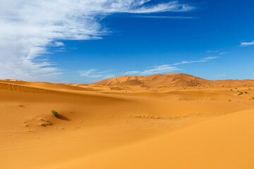 Fototapeta na wymiar Erg Chebbi. Sand dunes, beautiful landscape in Sahara Desert Morocco
