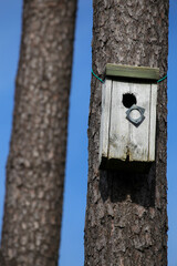 bird house on tree