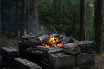campfire in the forest