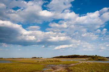 Salt marsh wetlands at Assateague Island National Seashore, MD
