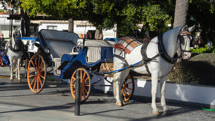 typical horse carriage in mijas, málaga - obrazy, fototapety, plakaty