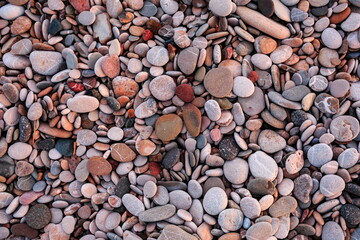 A lot of multi-colored stones of different shapes on the seashore