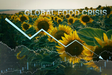 Global food crisis after war decimated a crop of sunflower. Embargo and sanction for export for...