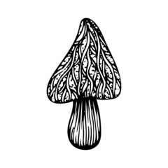 Poison mushroom. Fly agaric red, toadstool in sketch style. Deadly fly agaric. Dangerous forest mushroom. Black and white line art hand drawn vector. Psychedelic mushroom.