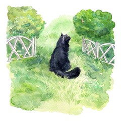 Watercolor illustration with a cat on a green lawn. A black cat sits on the grass and watches a butterfly. Summer landscape depicting a garden with a white fence in which a cat walks.