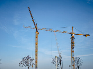 Yellow Construction Cranes on Blue