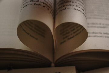 Pages of a book shaped into heart; booklovers and words