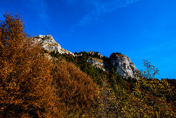 2021 10 30 Pieve bel Vicino trees and rocks 1