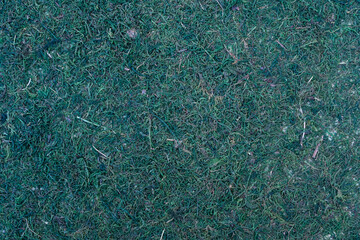 Moss and grass. Natural green natural background