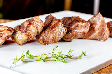 Beef kebab with tomato sauce with vegetables is on a plate